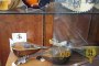 The Pearletta Supertone Craft Mandolin 2
