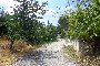 Plots of land in Morcone (BN) - LOT 2 2