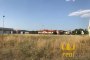 Building plot in Città di Castello (PG) - LOT 2 4