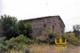 Rural building with agricultural lands in Controguerra (TE) LOT 1-2 5