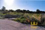 Building plot in Controguerra (TE) LOT 3 3