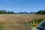 Landwirtschaftliches Grundstück in Chiaravalle (AN) - LOTTO U 2