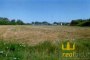 Landwirtschaftliches Grundstück in Chiaravalle (AN) - LOTTO U 3