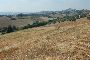 Building area in Fermo - LOT M 5