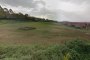 Building land in Montemarciano (AN) - LOT 3 3