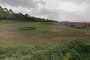 Działki budowlane w Montemarciano (AN) - LOTTO 8 3
