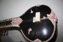 Black Sitar 2