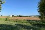 Building lands in Orgiano and Asigliano Veneto (VI) 5