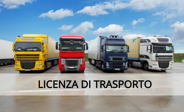 Transport sector business unit - License, vehicles and equipment - Bank. 64/2018 - Ancona L.C.