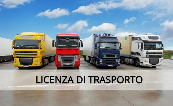 Transport sector business unit - License, vehicles and equipment - Bank. 64/2018 - Ancona L.C.