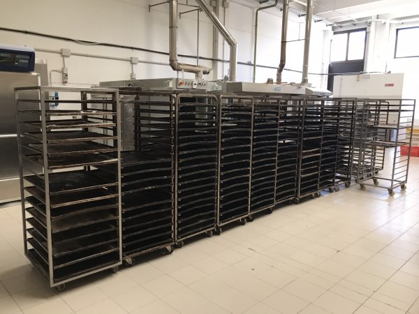 Bakery machines - Bank. 80/2019 - Vicenza L.C. - Sale 4