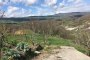 Jord i Tito (PZ) - LOT 2 3