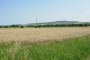 Terreno agrícola em Castelfidardo (AN) - LOTE 18 2