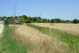 Terreno agrícola em Castelfidardo (AN) - LOTE 18 3