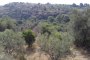 Agricultural lands in Avola (SR) 2