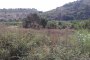Agricultural lands in Avola (SR) 4