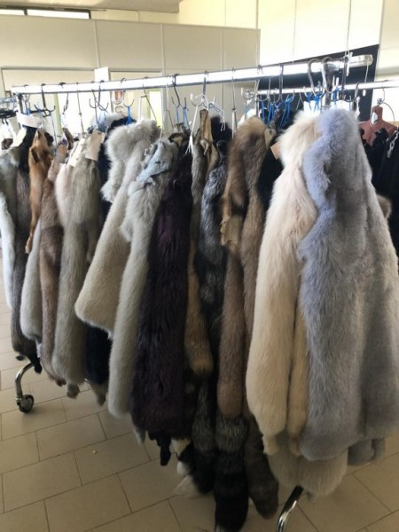 Furs shop - Materials and equipment - Bank. 64/2019 - Padua L.C. - Sale 6