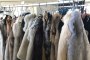 Leather Warehouse 1
