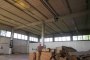 Artisanal building in Noventa Vicentina (VI) - LOT 4 6