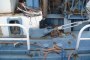 Saturno Dredger 3