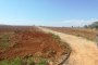 Agricultural lands in Niscemi (CL) - LOT 3 3