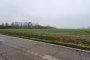 Agricultural land in San Pietro di Morubio (VR) - LOT 1 4