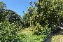 Building land in San Pietro di Morubio (VR) - SHARE 1/2 - LOT 4 6