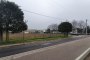 Building land in San Pietro di Morubio (VR) - LOT 5 6