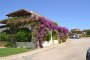 Villa in Porto Cervo (SS) - LOT 1 5