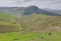 Agricultural lands in Serradifalco (CL) 5