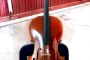 N. 6 Zocchi Tomaso EZC Cellos 1