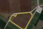 Building area in Asigliano Veneto (VI) - LOT 2D 1