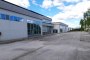 Industrial building in Guardiaregia (CB) - LOT 1 6