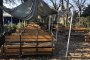 N. 35 Set of Tables and Benches 4