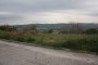 Terrain constructible à Monsampolo del Tronto (AP) - LOT 32 3