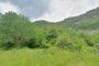 Agricultural lands in Borgo (TN) - LOT D3 3