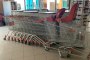 N. 38 Shopping Trolleys 5