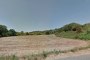 Agricultural lands in Monterosi (VT) - SHARE 1/2 2