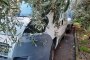 Furgon FIAT Ducato 3