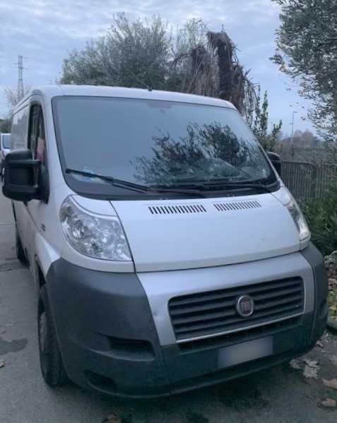 Opel and FIAT vans - Cold store and trolleys - Bank. 120/2020 - Florence Law Court - Sale 4