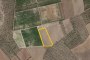 Terreno agrícola en Cerignola (FG) - CUOTA 1/2 1