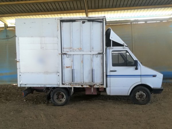 FIAT IVECO Daily for - Animal transport - Caltanissetta L.C. - Sale 7
