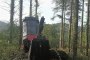Valmet 901-II Forest Harvester 1