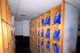 Lote de Patines y Cascos 3