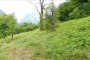 Landbouwgrond in Grigno (TN) - LOT 3 3