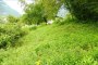 Terrenos agrícolas em Grigno (TN) - LOTE 3 4