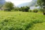 Landbouwgrond in Grigno (TN) - LOT 5 3