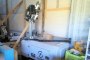 Stolp svetilke Elcos TF M 4X150L.TL 2