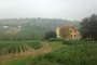Terreno edificabile en Trecastelli (AN) 2