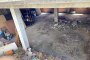Dò Due Abitazioni e un locale a San Roque - Cádiz 4